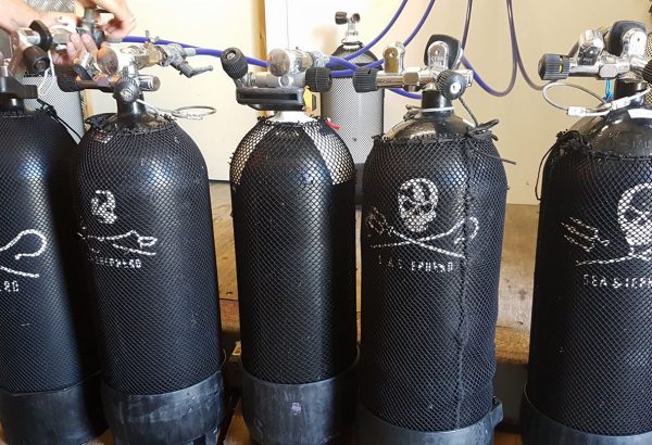 Gonflage Sea Shepherd Bulles Plongée